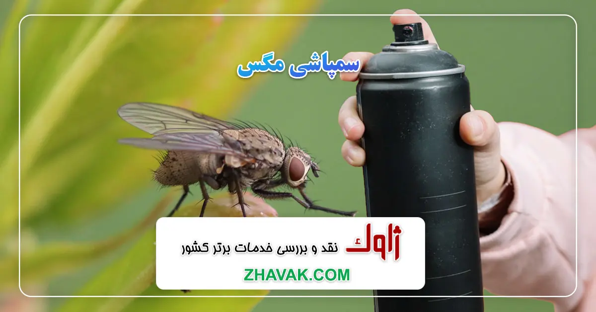 Read more about the article سمپاشی مگس