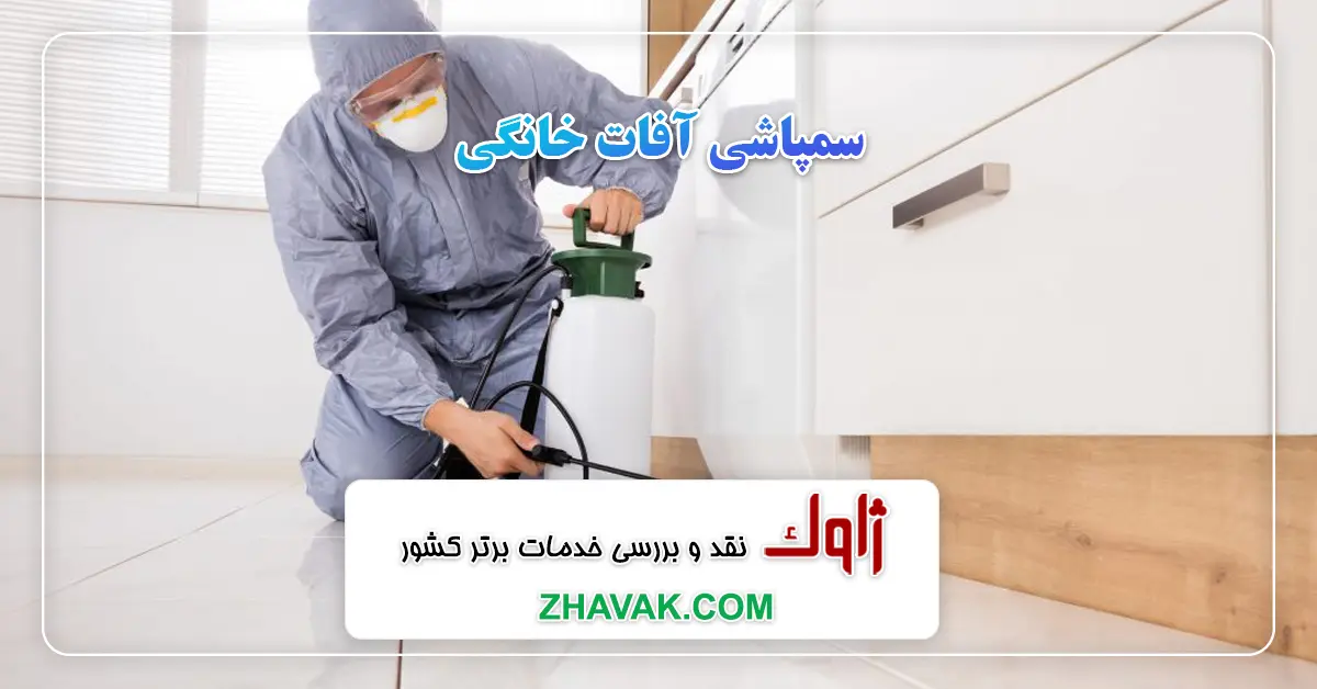 Read more about the article سمپاشی آفات خانگی