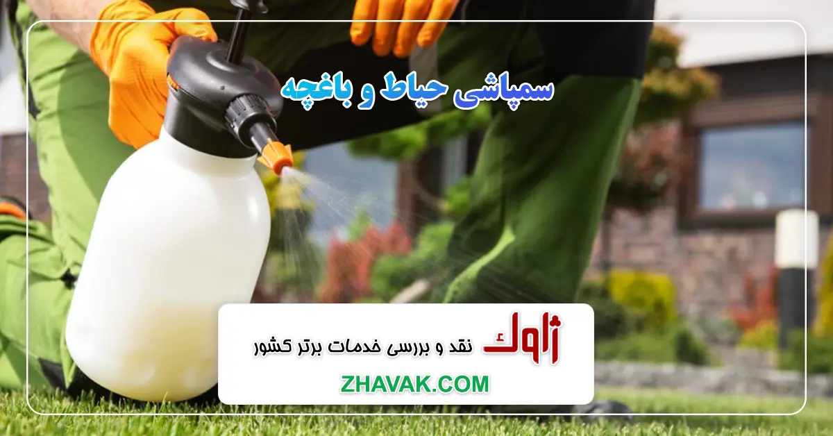 Read more about the article سمپاشی حیاط و باغچه