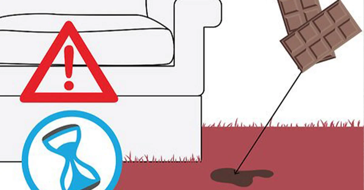 Read more about the article پاک کردن لکه شکلات از فرش