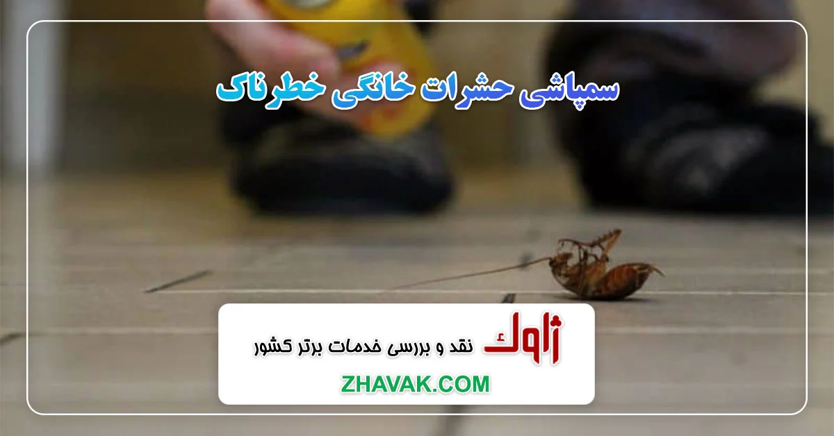 Read more about the article سمپاشی حشرات خانگی خطرناک