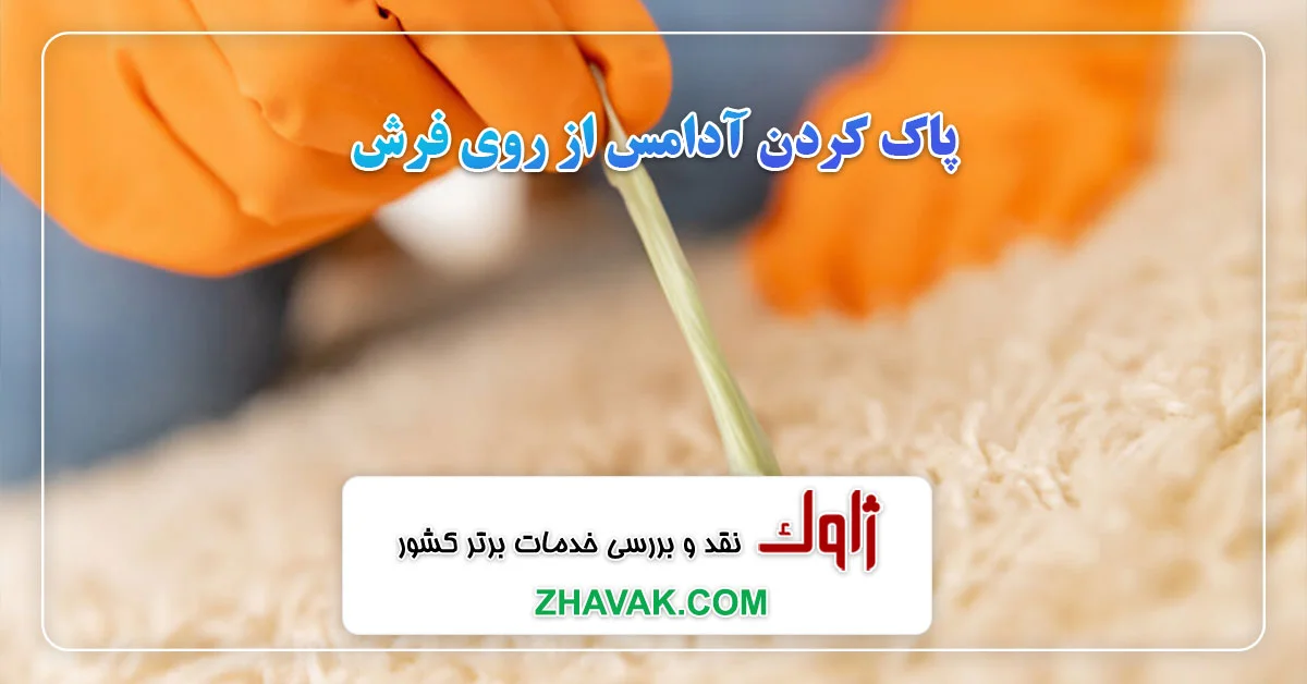 Read more about the article پاک کردن آدامس از روی فرش